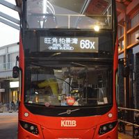 Tsz San