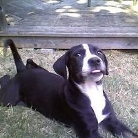 Bob