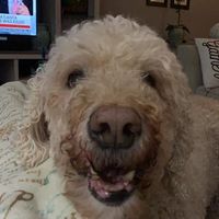 Suzie