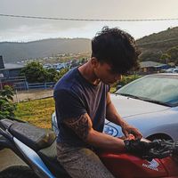 Adib