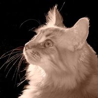 Mufasa