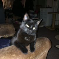 Lillian