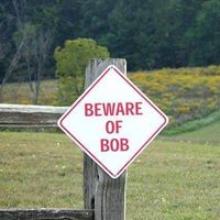 Bob