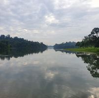 Zaidi Hashim