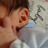 Domenico
