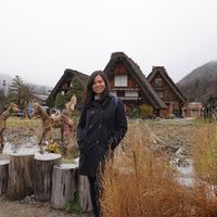 XiaoWei
