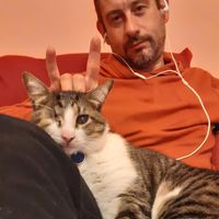 Stefano