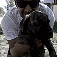Tony