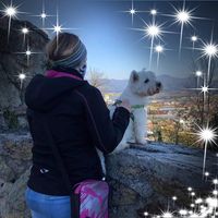 Mojca