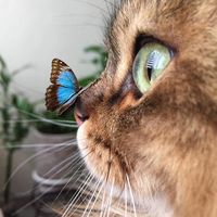 Nathalie