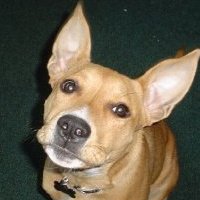 Darla