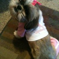 Chloe