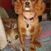 Karen