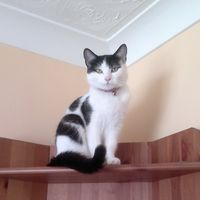 Helen