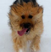 Ralph