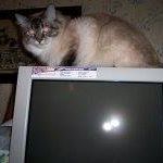 Yvonne