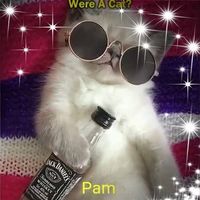 Pam