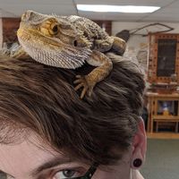 Sam