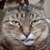Jim