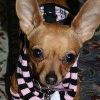 Penny