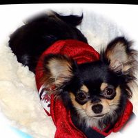 Nancy