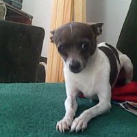 Brandon
