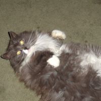 Bill