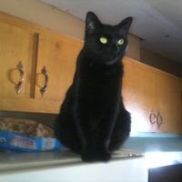 Cinda