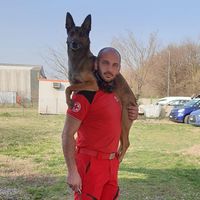 Fulvio