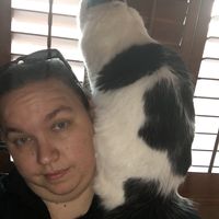 Cassandra