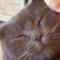Tina