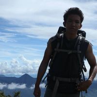 Filino