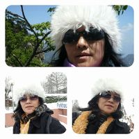 Novell