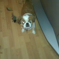 Charlie