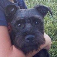 Benny