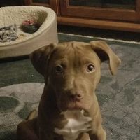 Jeffrey