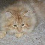 Debby