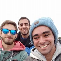 Fedee