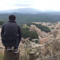 Vico