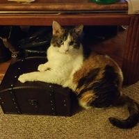 Amy