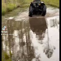 Roo
