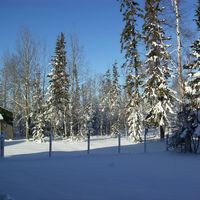 Simone Bussiere MacIver