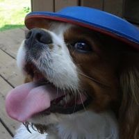Robert