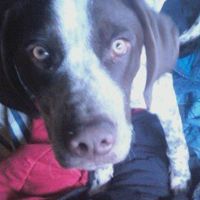 Rufus