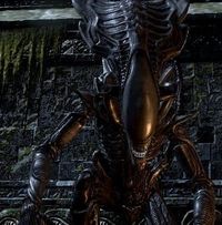 Zeke