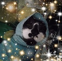 Kat