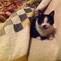 Mimi