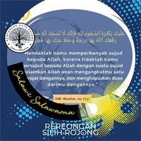 Riza