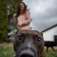 Tracie