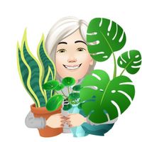 Laura
